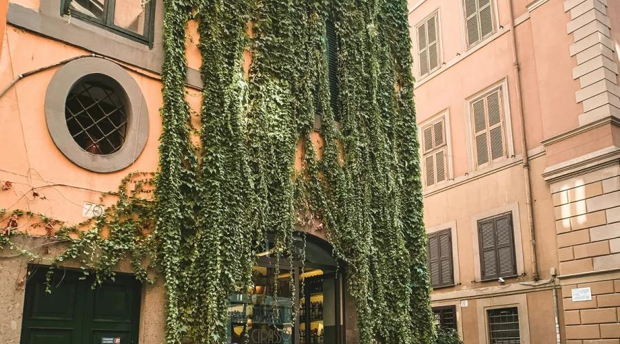 Weekend in Rome: discover the wonders of the capital city Mecenate Palace Hotel Weekend in Rome: discover the wonders of the capital city Mecenate Palace Hotel