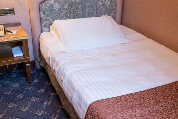 Single Room Mecenate Palace Hotel Rome Single Room Mecenate Palace Hotel Rome
